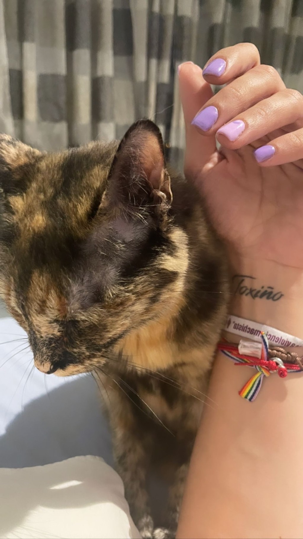 Coockie y Alfi, mis bichis&nbsp;😻