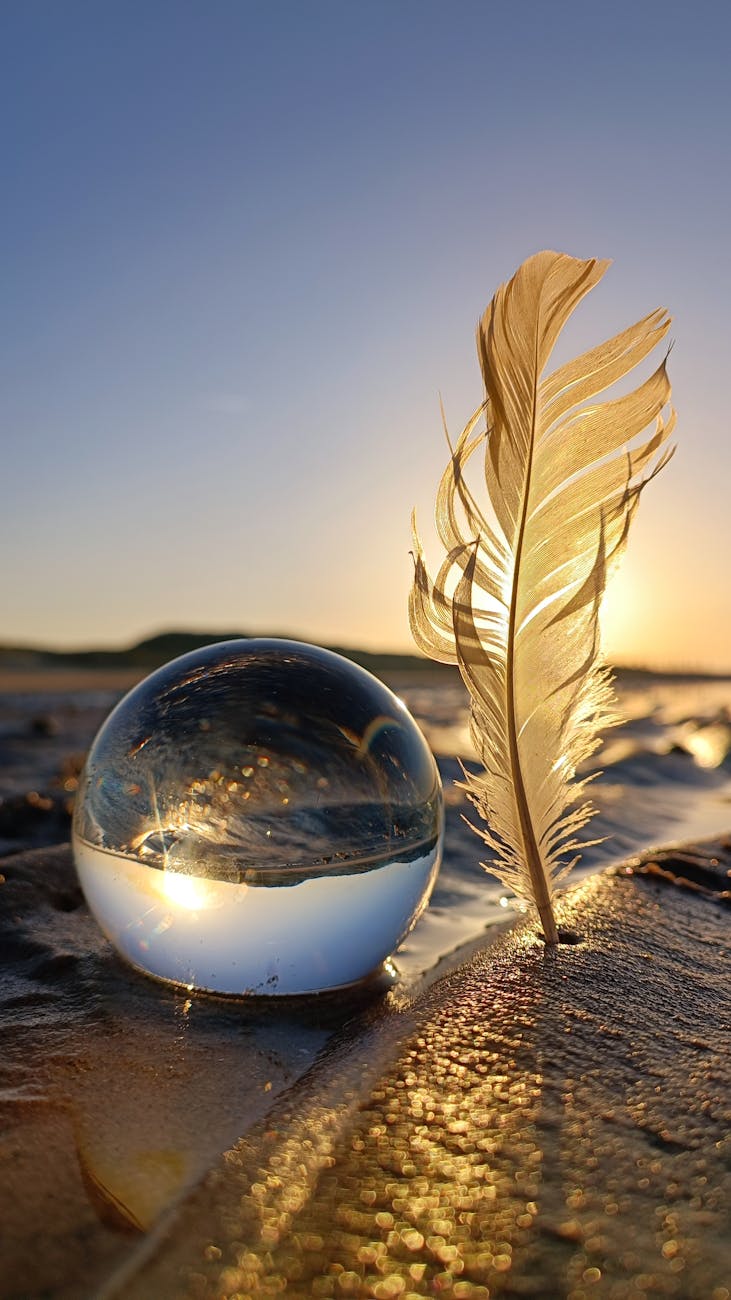 Influencia de la&nbsp;gravedad